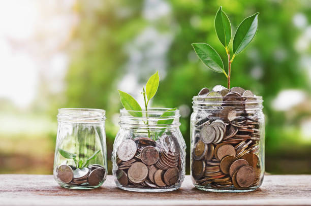 Coins inside glass saving jar with plants growing out